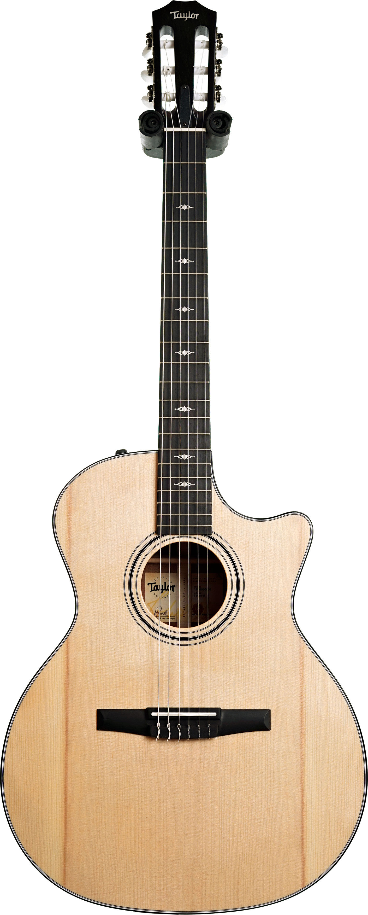 Taylor 314ce-N Nylon Grand Auditorium #1206056081