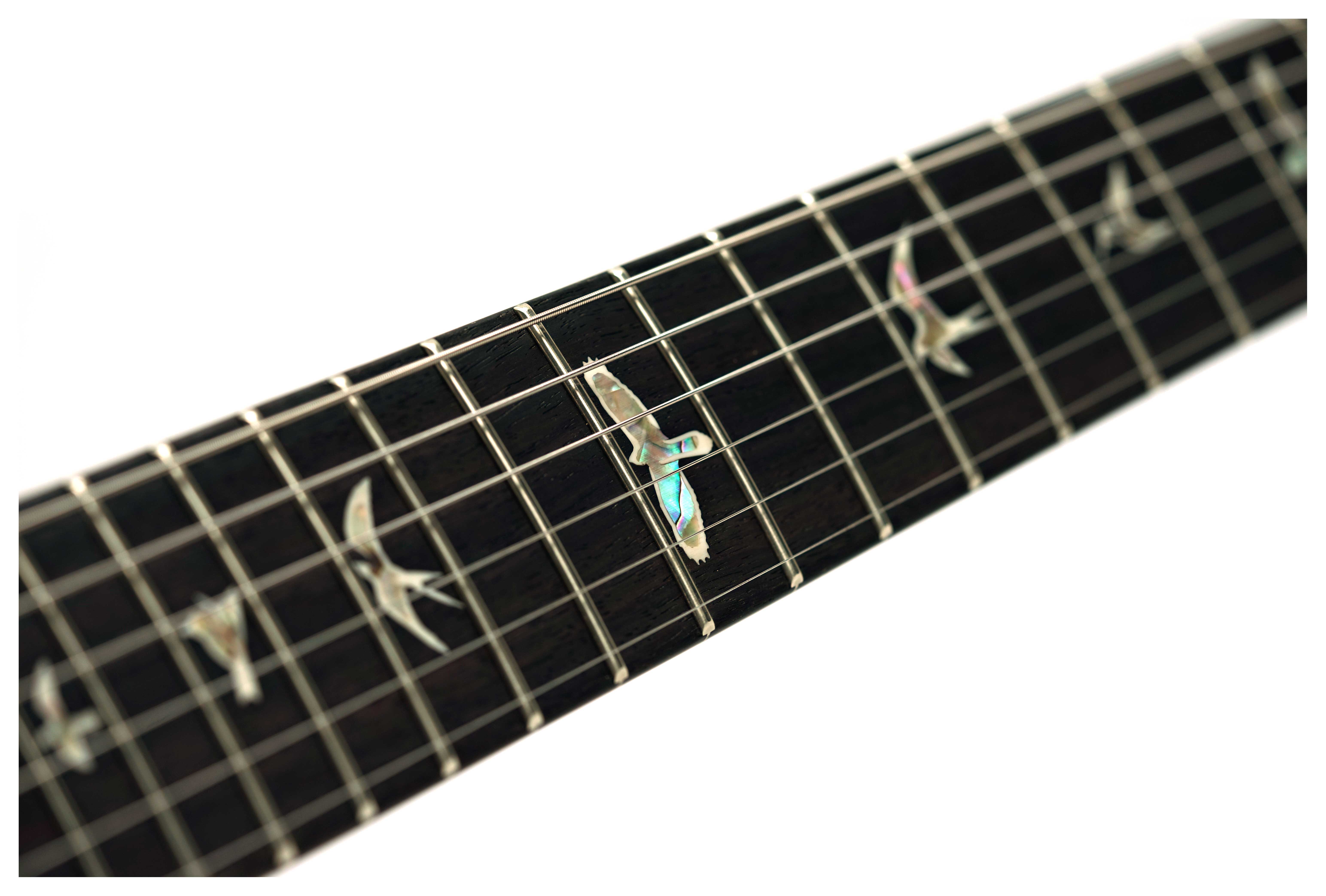PRS Custom 24 Black Gold #0427366
