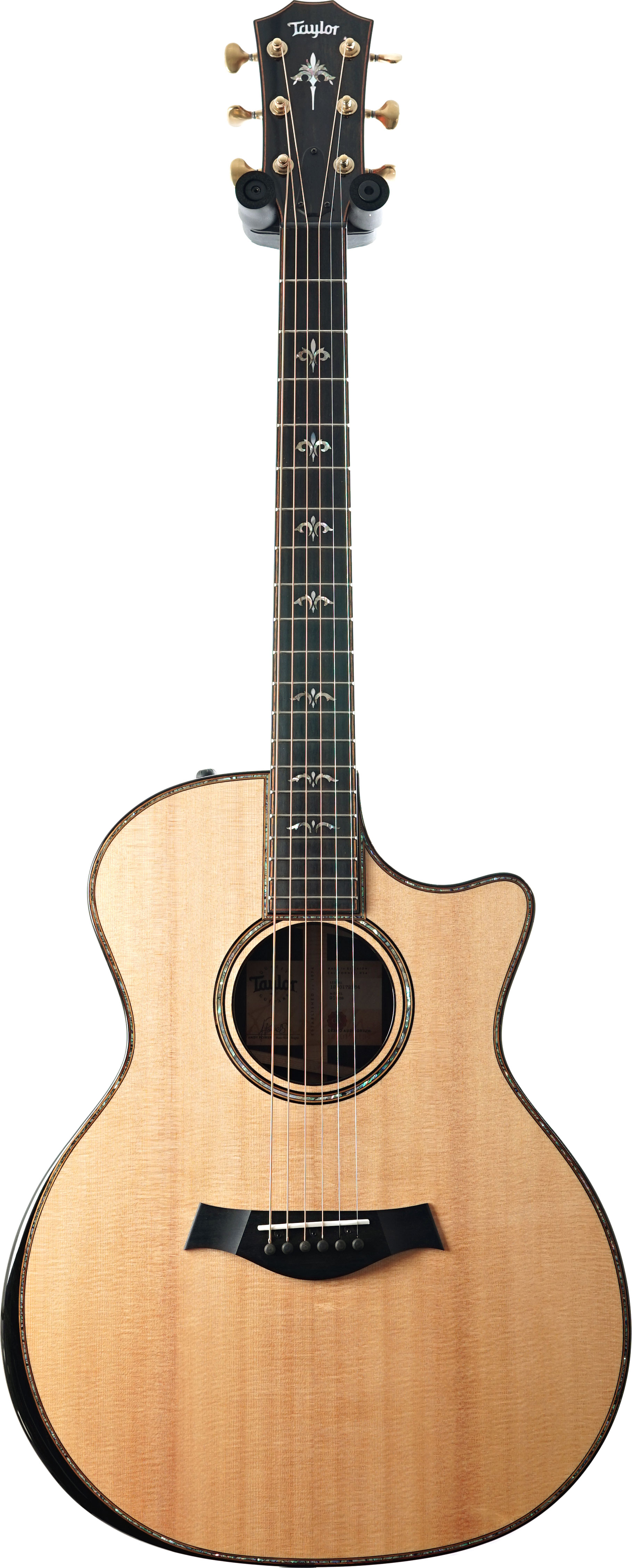 Taylor 454ce Next Generation #1201286016