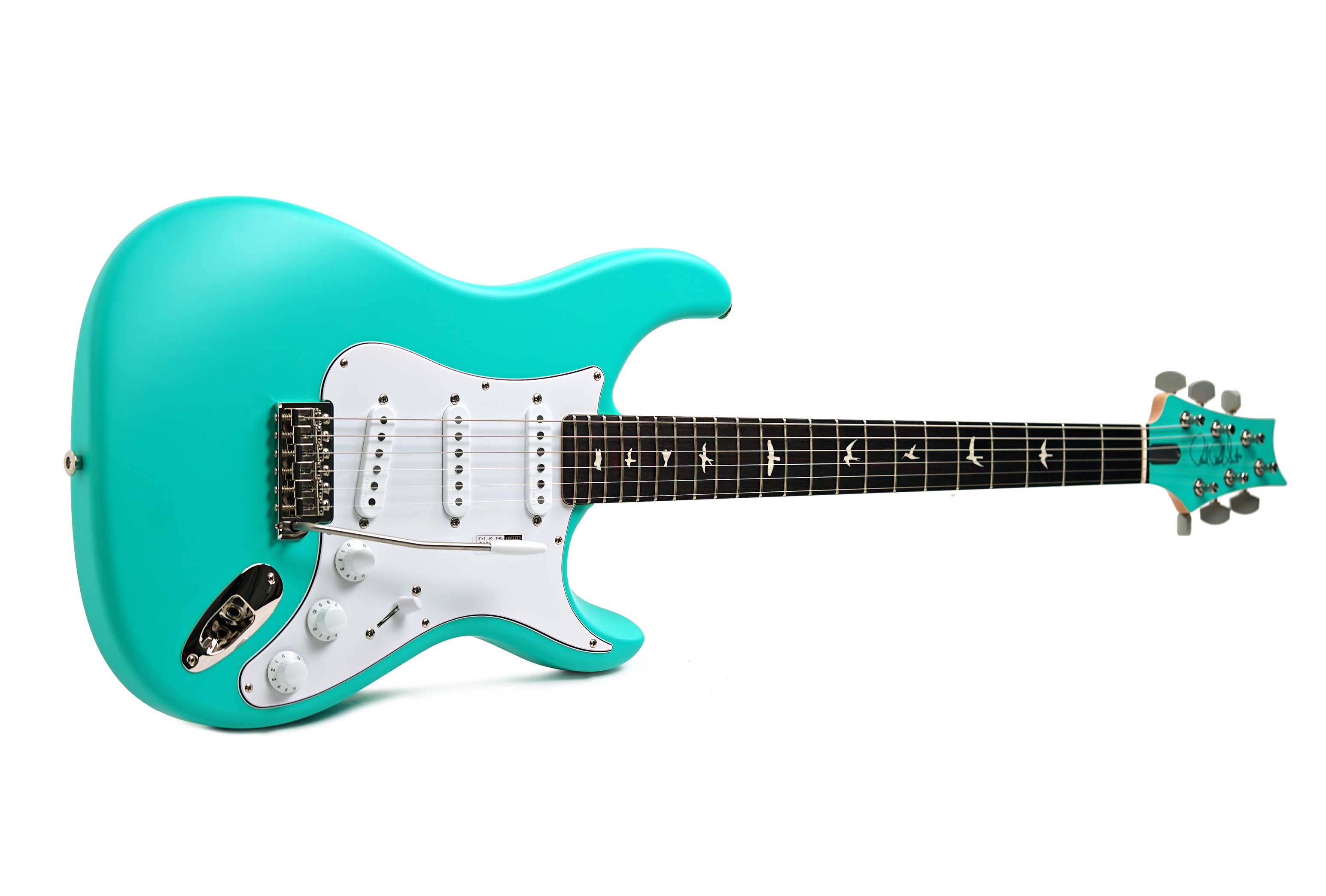 PRS Limited Edition Silver Sky Wild Blue #0431390