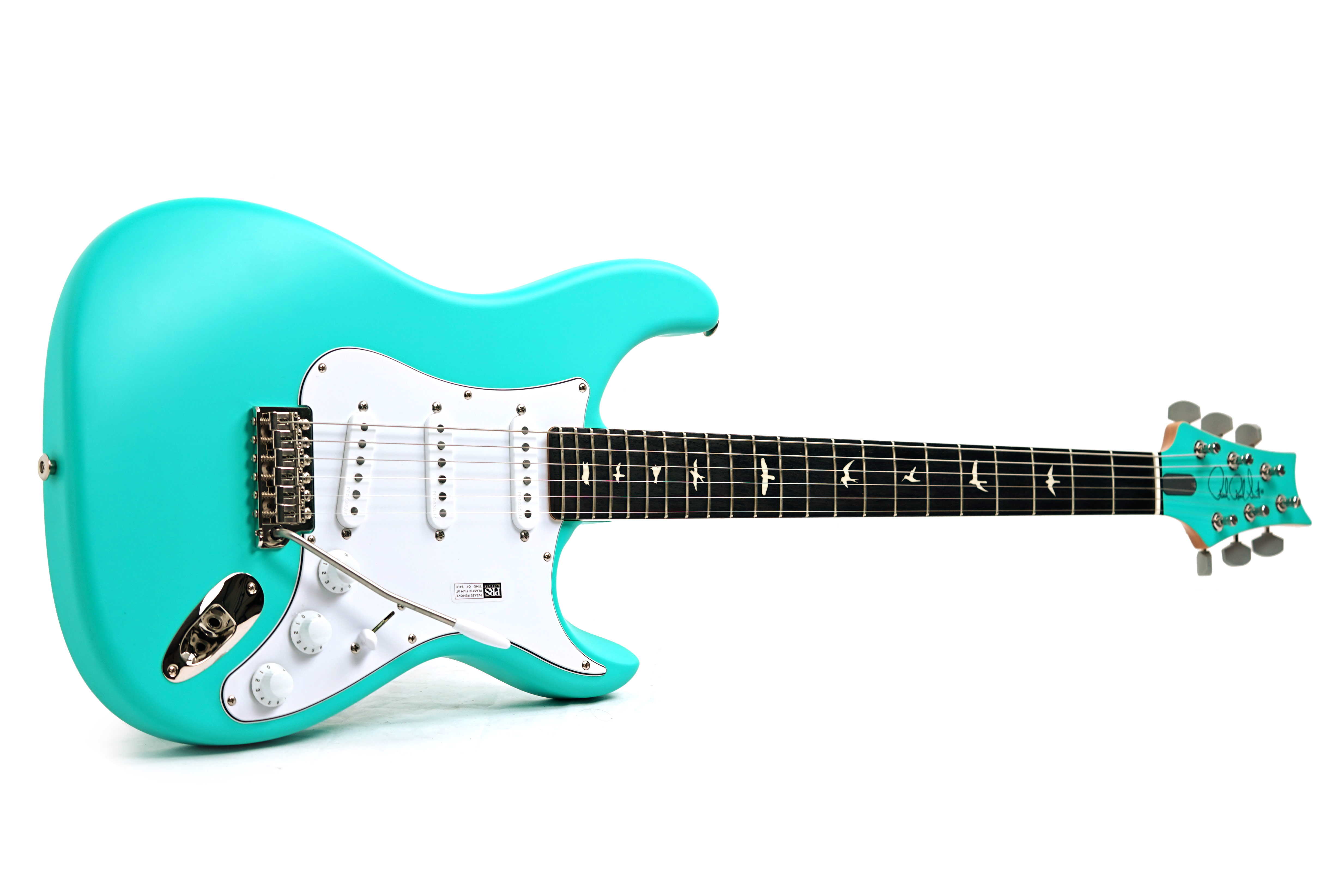 PRS Limited Edition Silver Sky Wild Blue #0431147