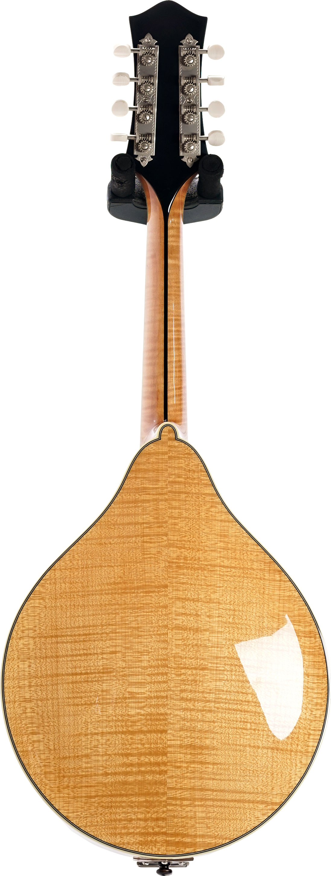 Bourgeois A-style M5-A Natural  #M2506111