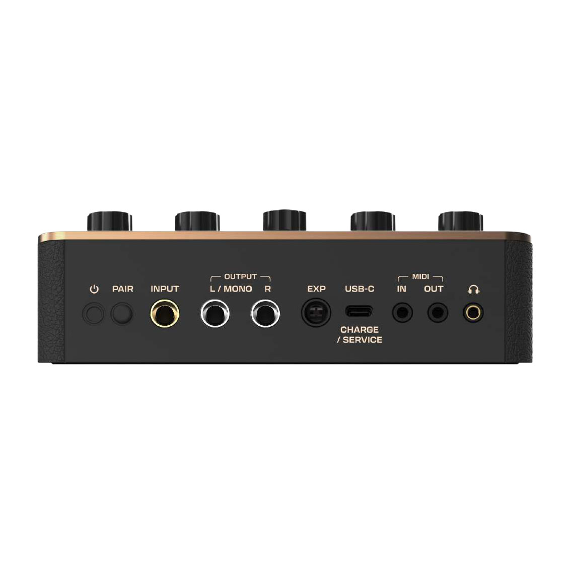 Positive Grid Spark Pedal