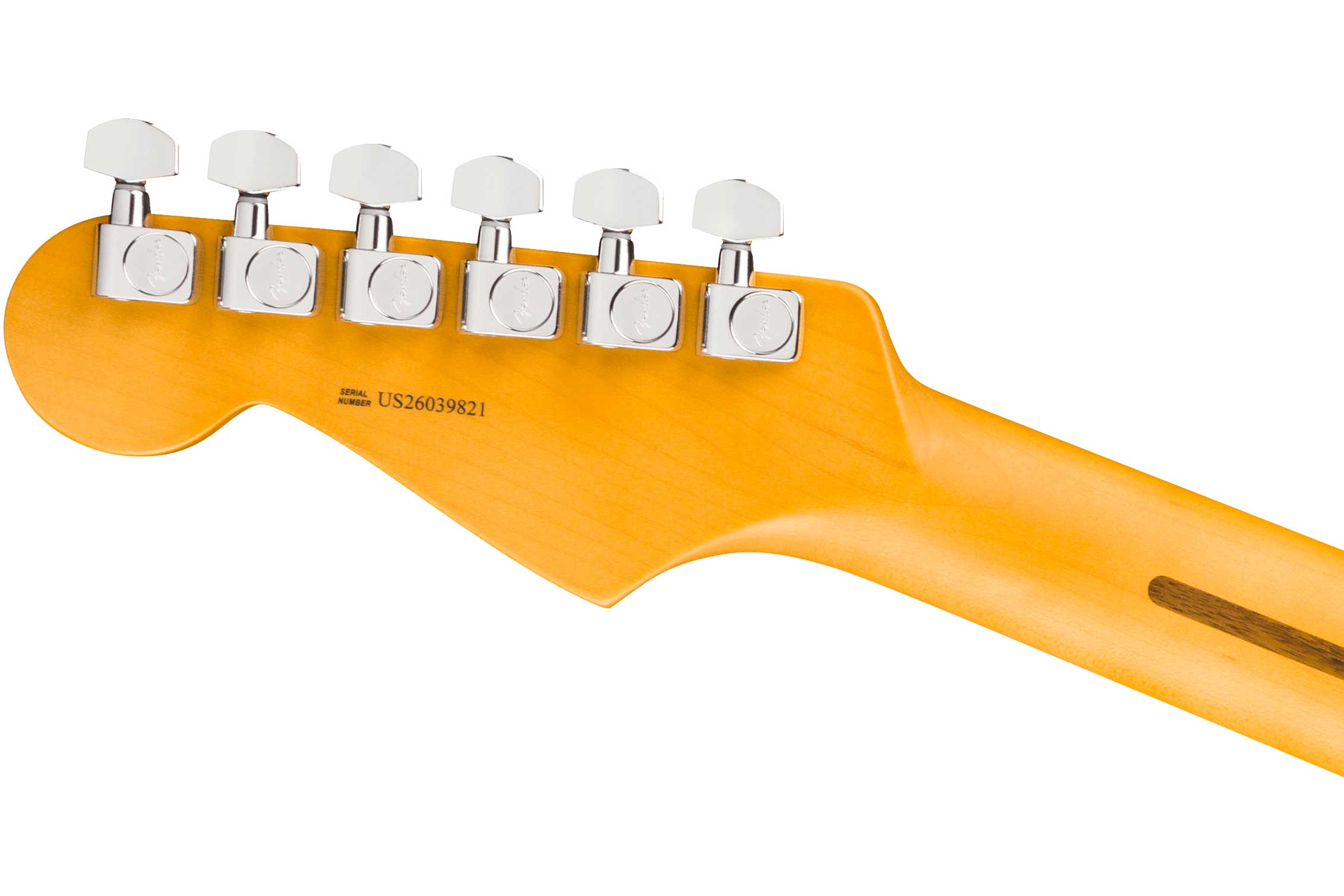 Fender American Professional Stratocaster Black Maple Fingerboard (2026)