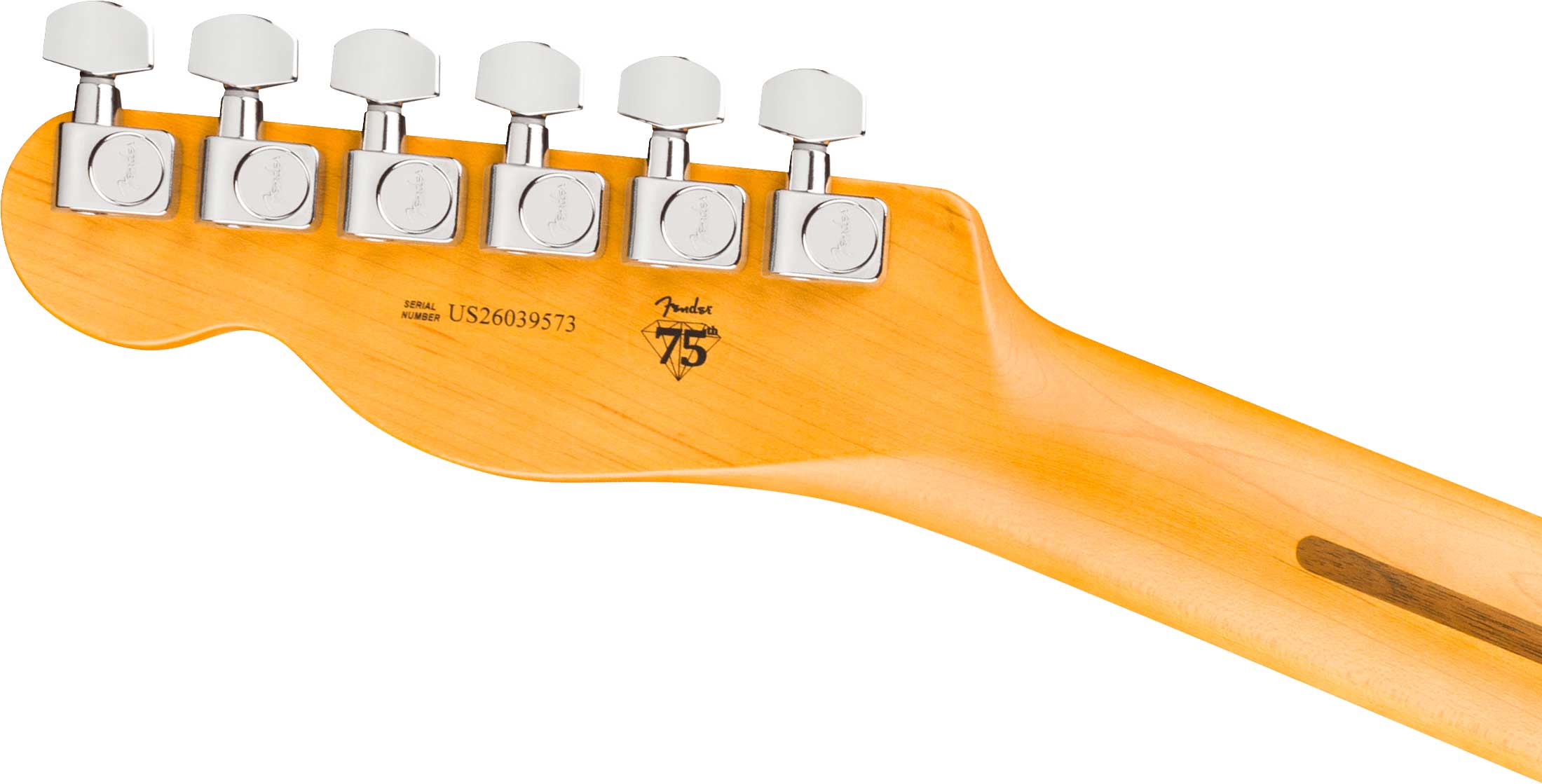 Fender American Professional Telecaster Rosewood Fingerboard Natural (2026)