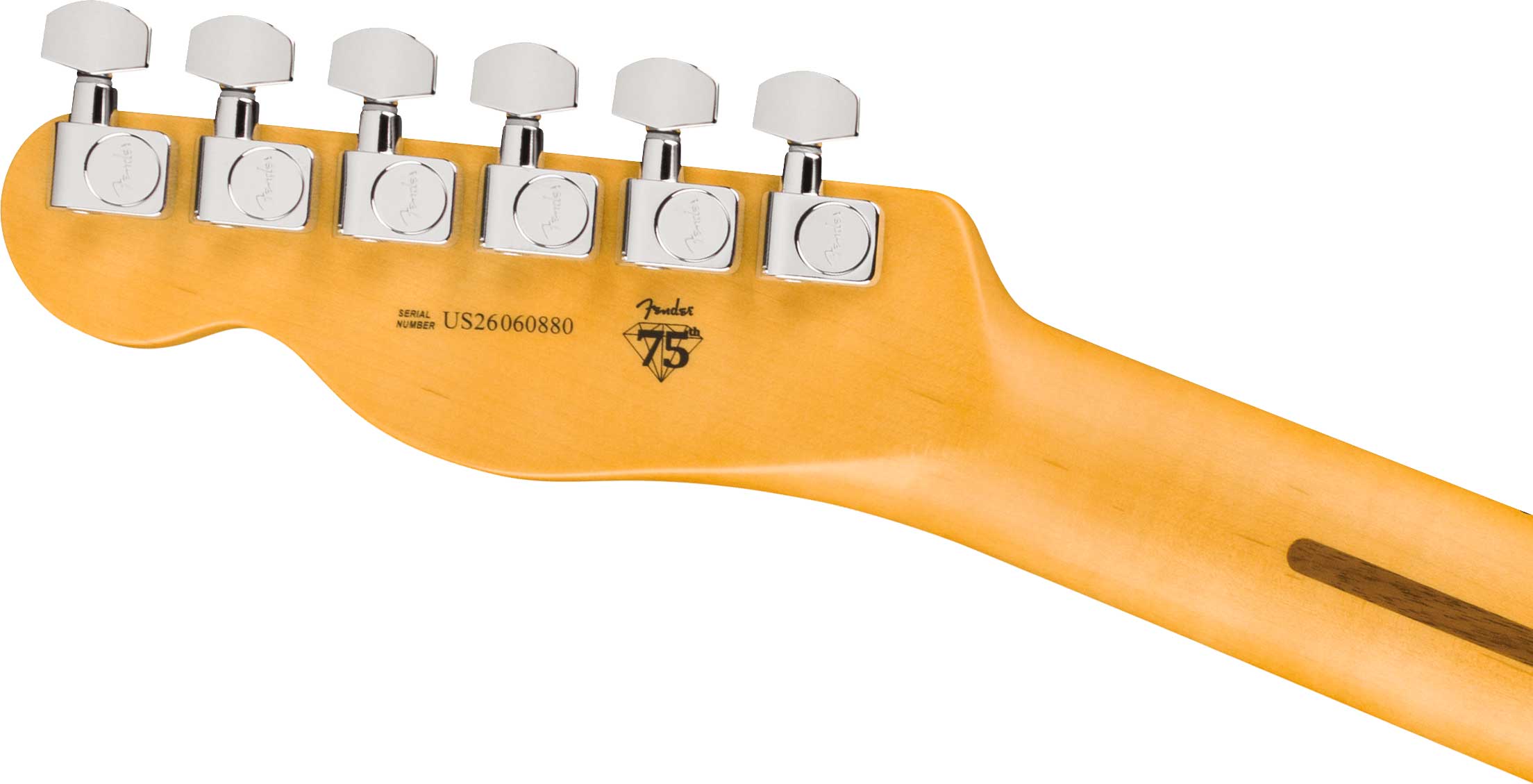 Fender American Professional Telecaster Maple Fingerboard Black (2026)