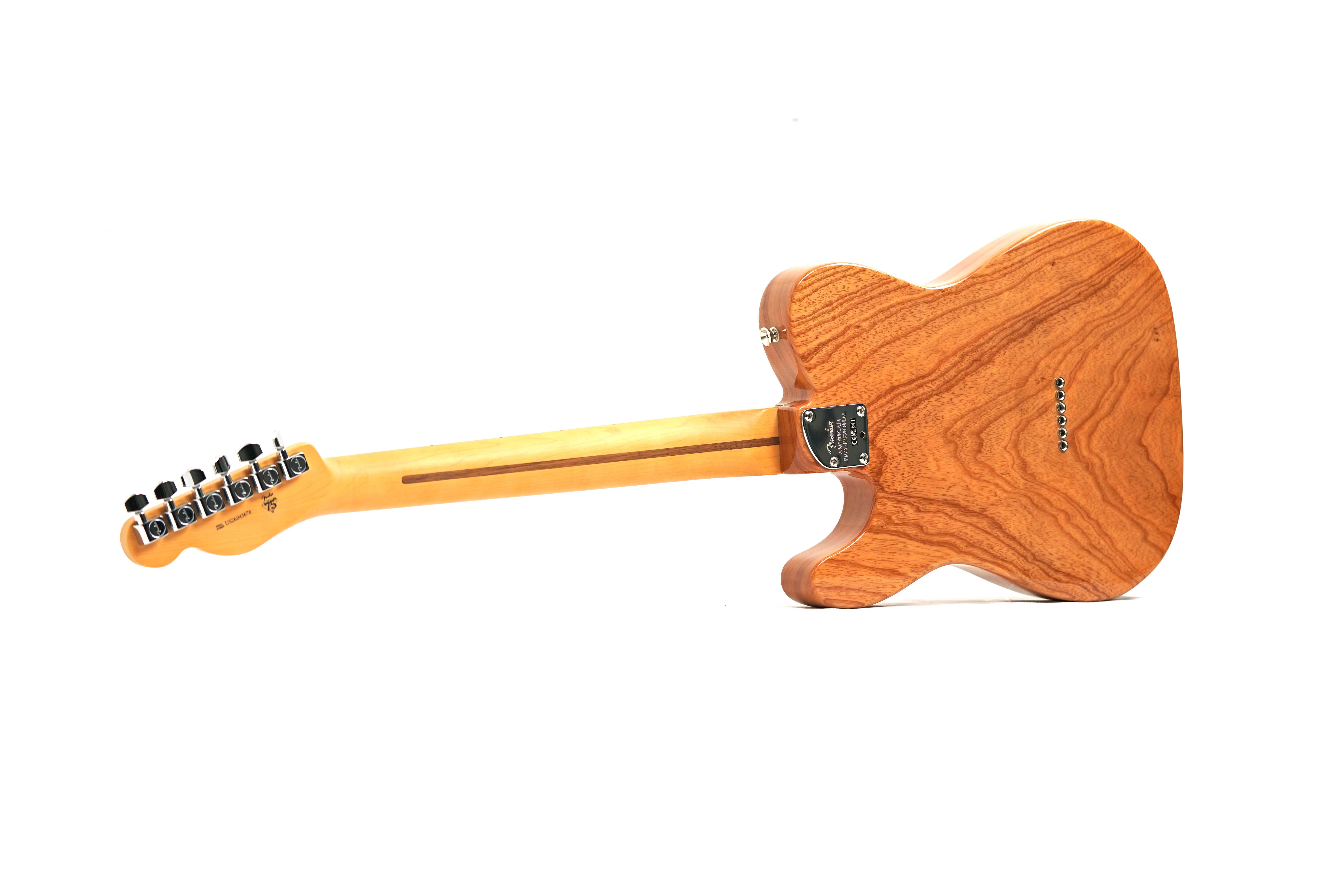 Fender American Professional Telecaster Maple Fingerboard Natural (2026) #US26043678