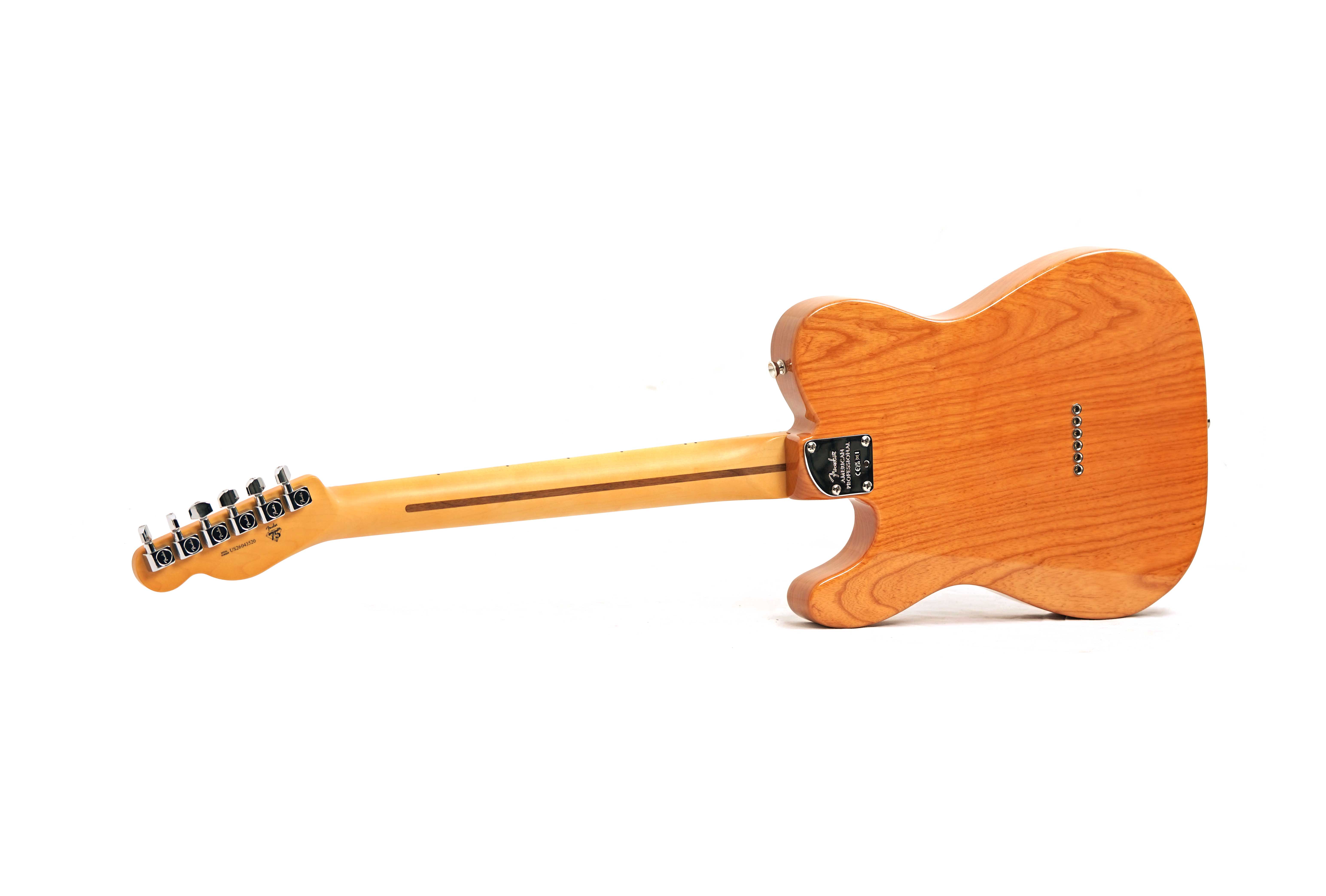 Fender American Professional Telecaster Maple Fingerboard Natural (2026) #US26043520
