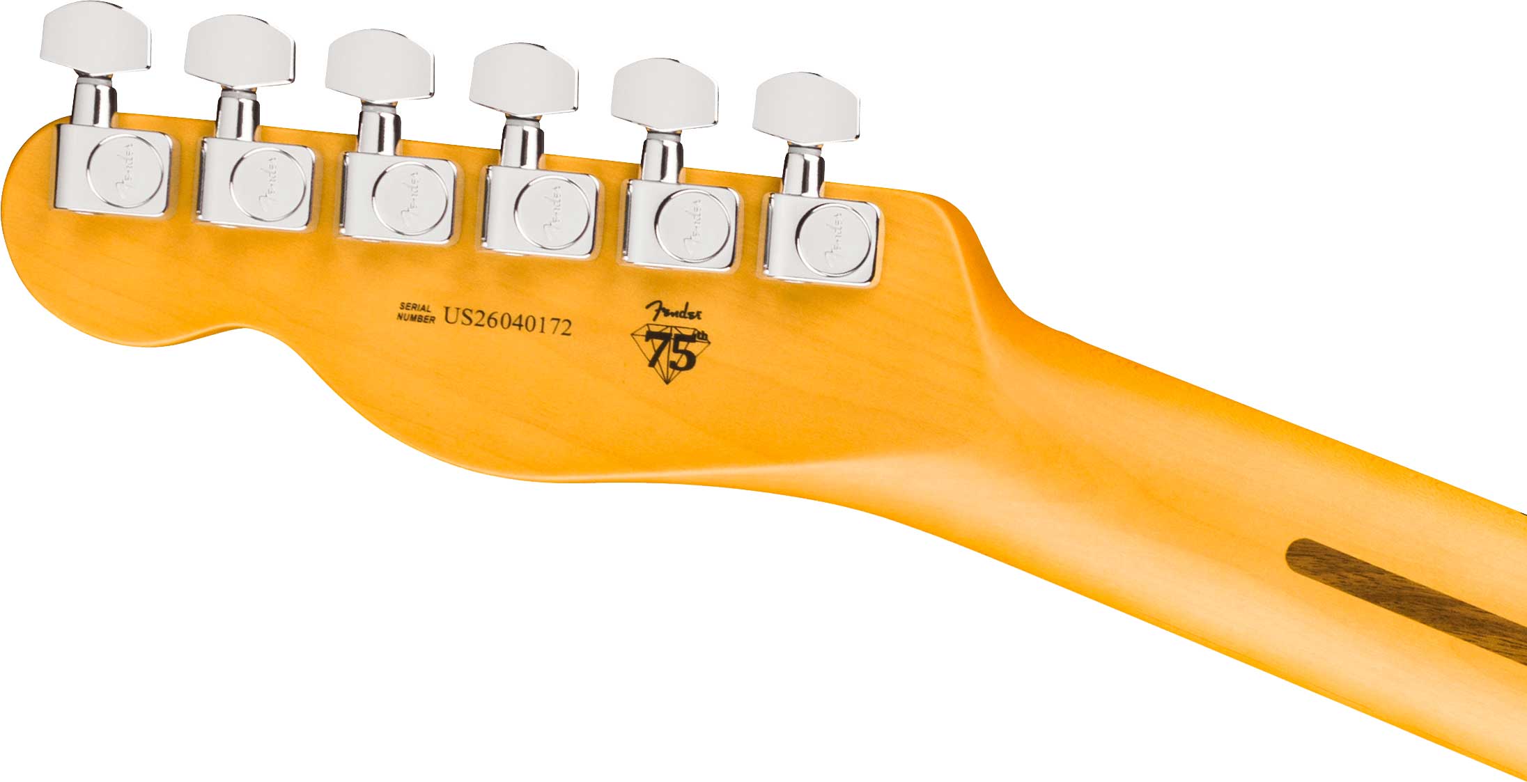 Fender American Professional Telecaster Maple Fingerboard Natural (2026)