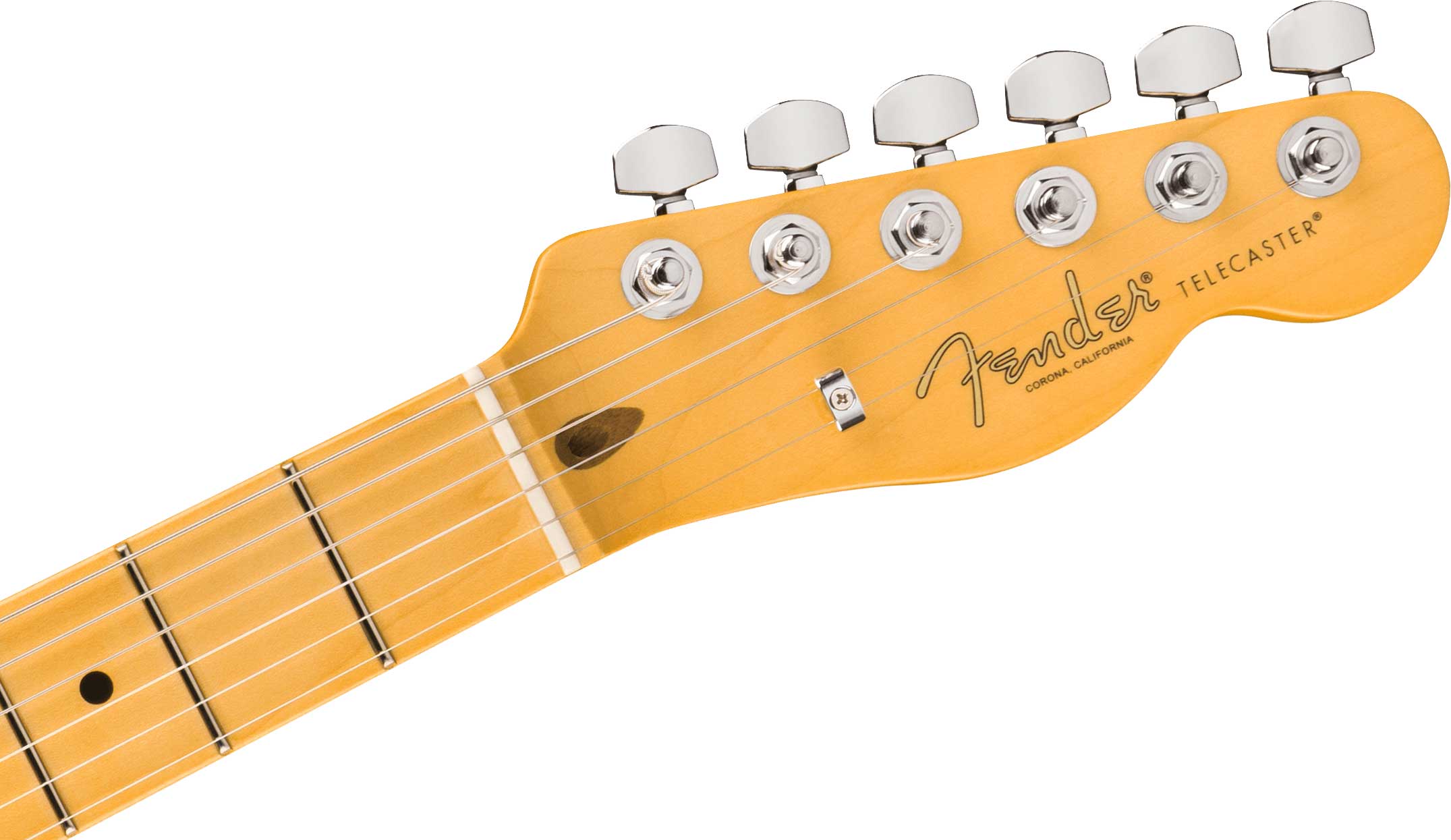Fender American Professional Telecaster Maple Fingerboard Oxblood (2026)