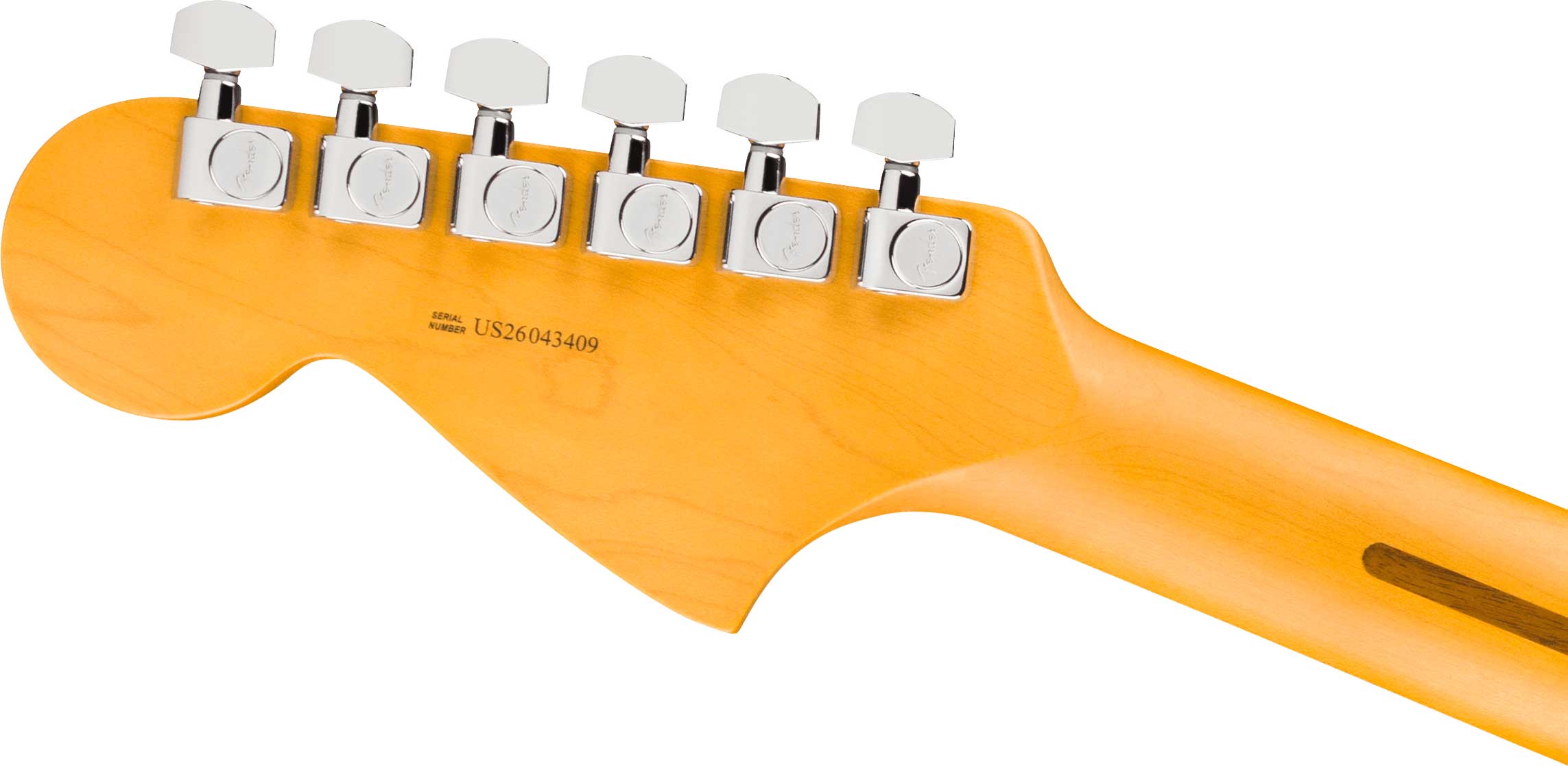 Fender American Professional Jaguar Rosewood Fingerboard Dark Night (2026)