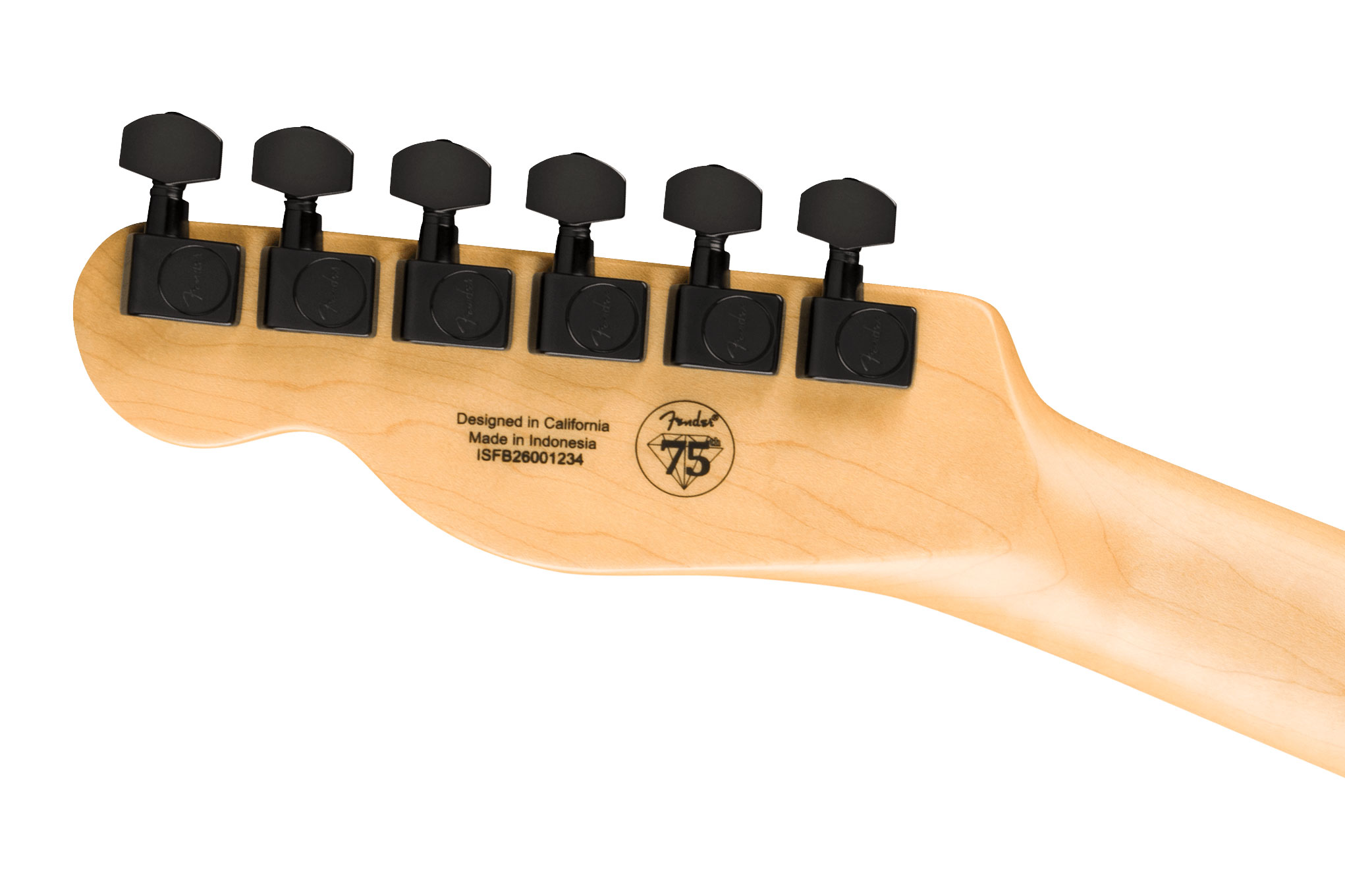 Fender Limited Edition Standard Series Telecaster Satin Black Maple Fingerboard