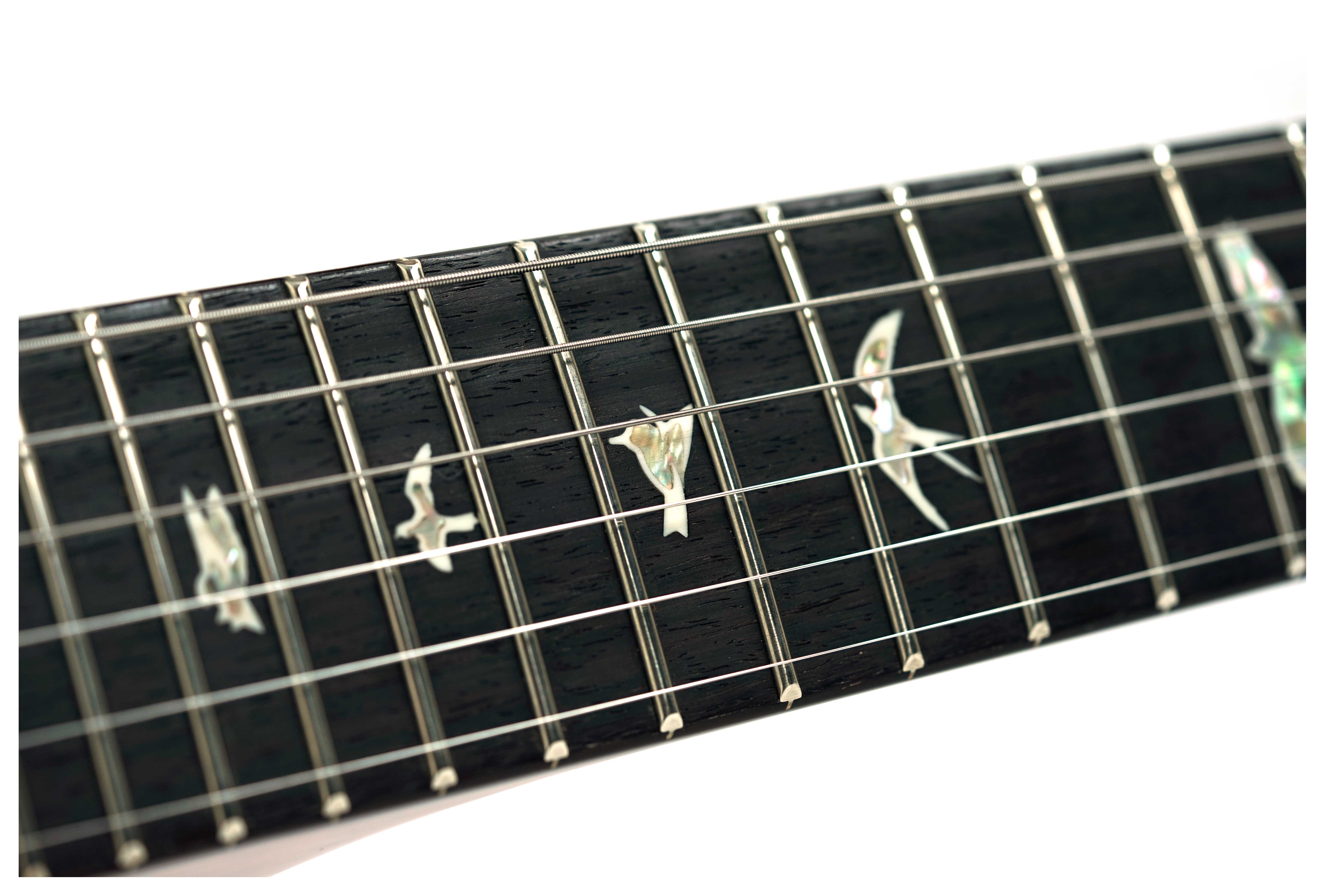 PRS Limited Edition Custom 24 10 Top Arctic Blue #0424147
