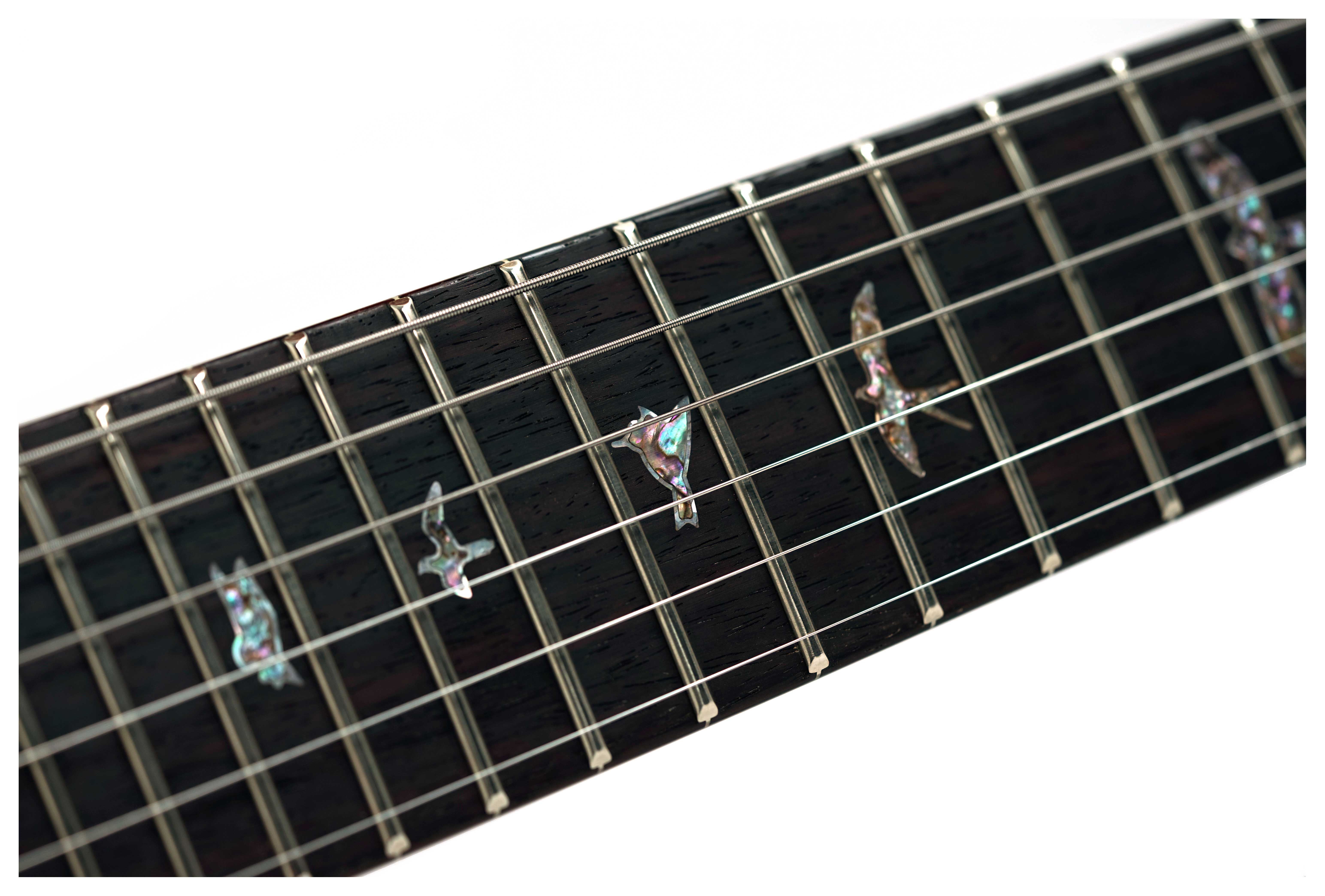 PRS Wood Library Custom 24-08 10 Top Red Tiger #0428123