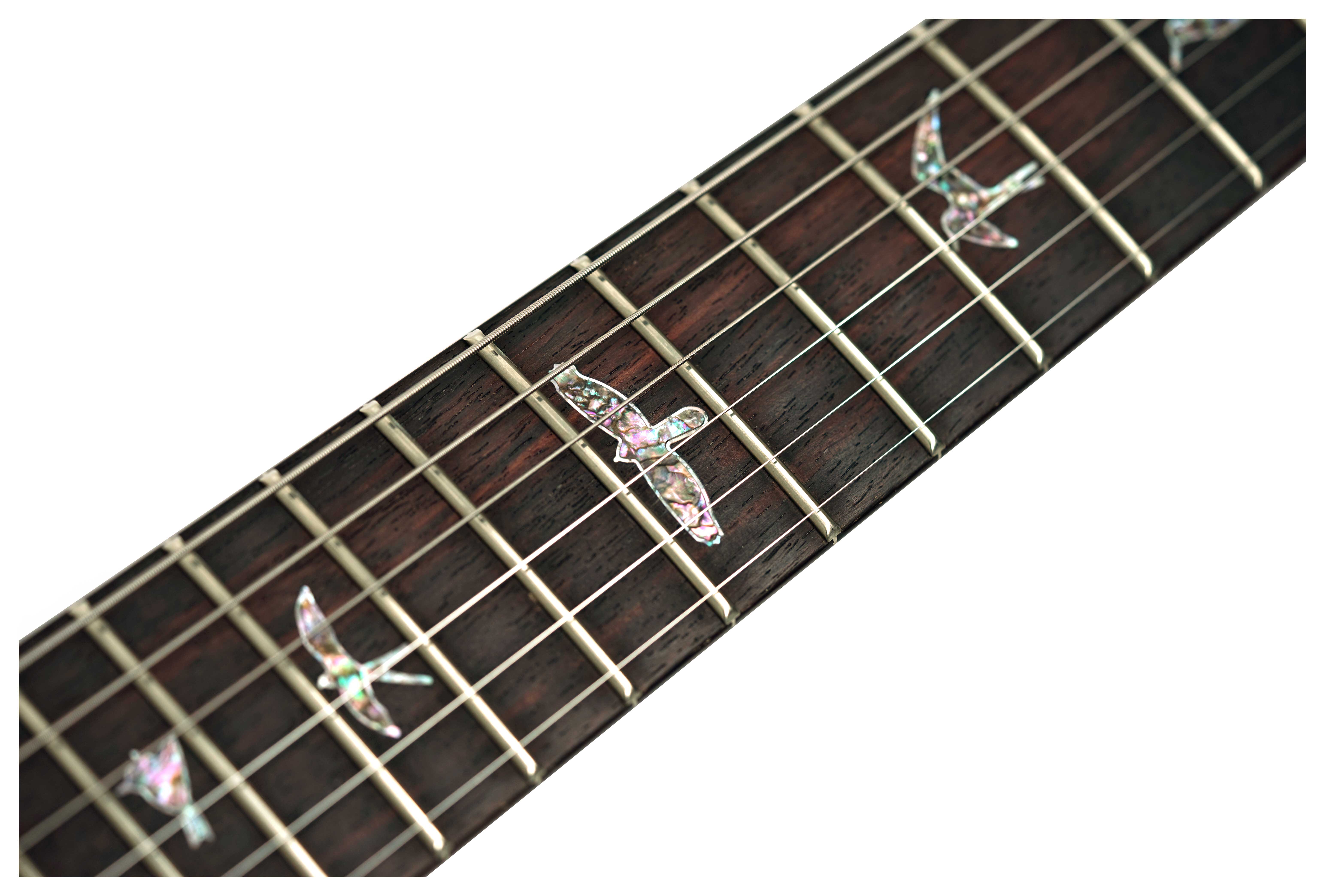 PRS Wood Library Custom 24-08 10 Top Charcoal #0428124