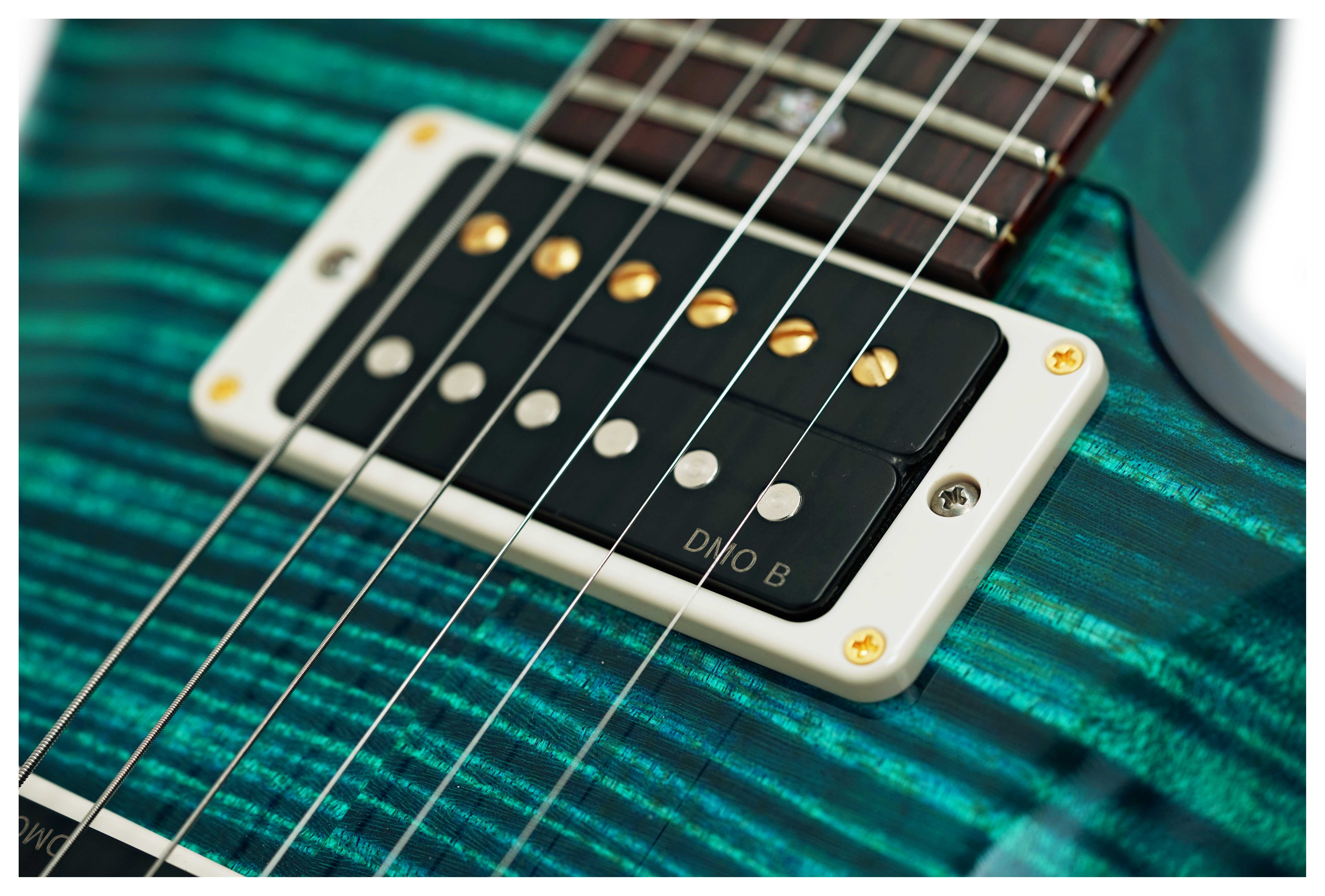 PRS Wood Library Custom 24 10 Top Laguna #0428188