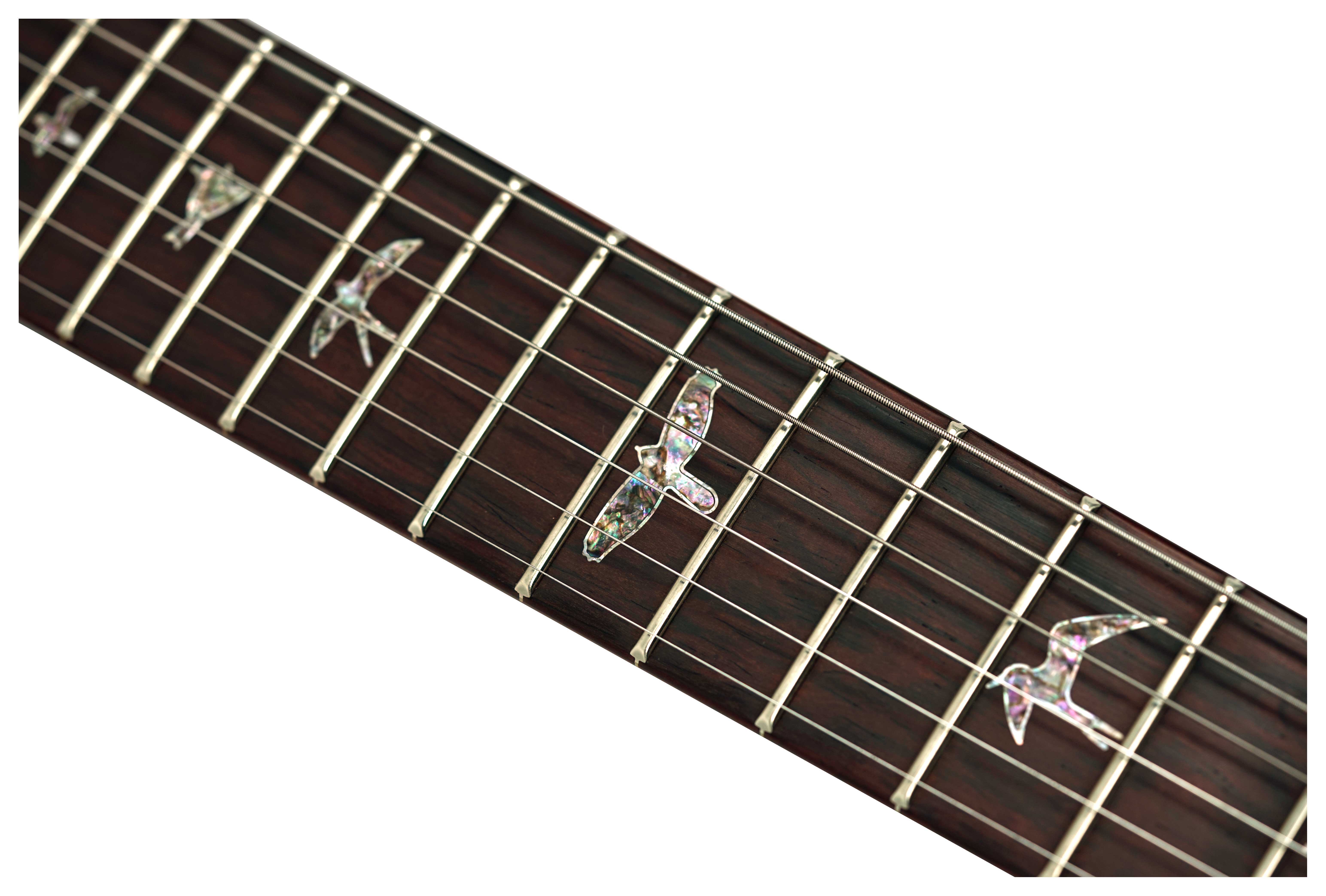 PRS Wood Library Custom 24 10 Top Laguna #0428188
