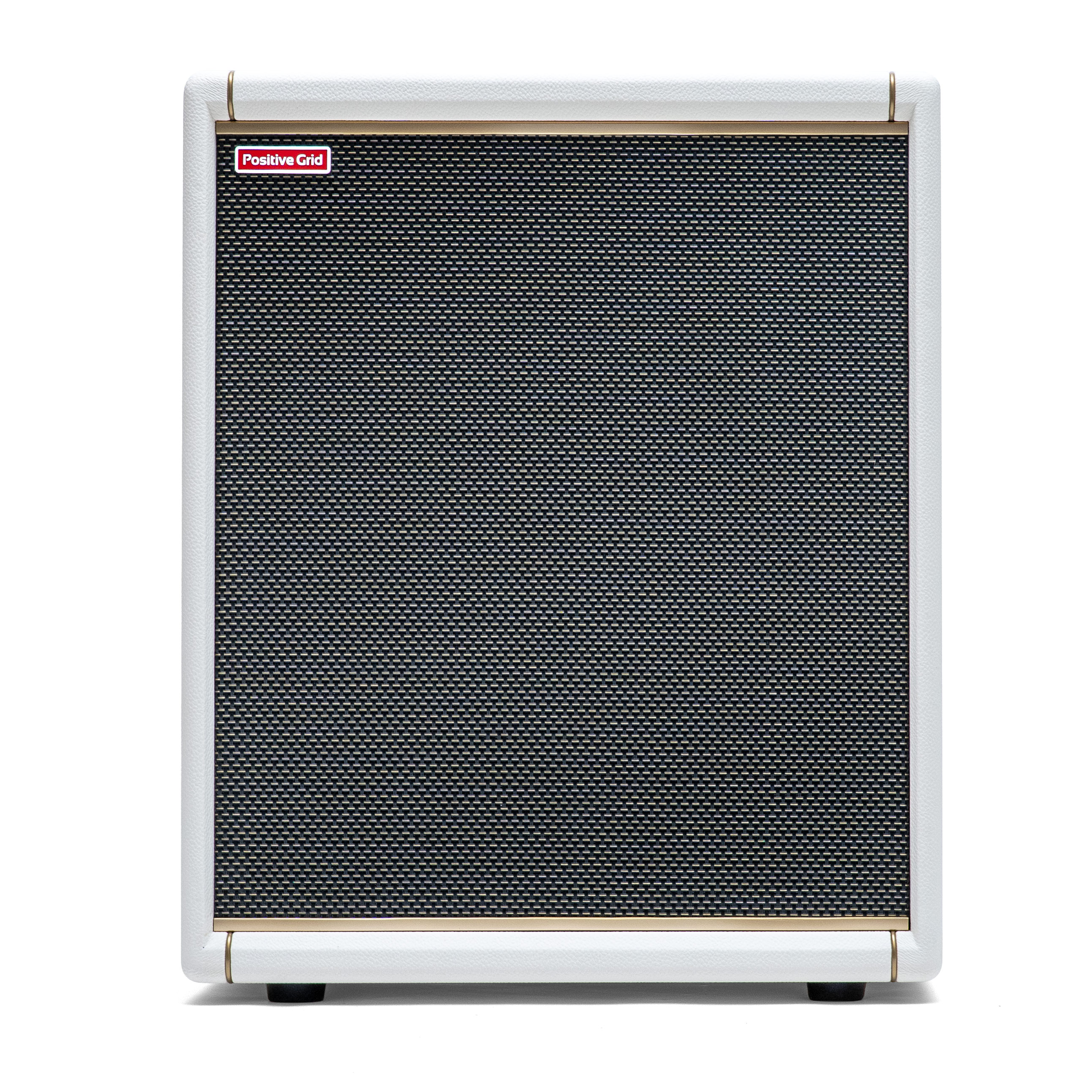 Positive Grid Spark Cab 2 Pearl FRFR Guitar Cabinet