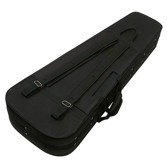 Ibanez FS30SR Foam Case Electric Guitar
