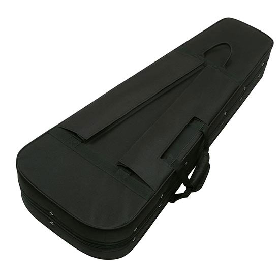 Ibanez FS30SR Foam Case Electric Guitar