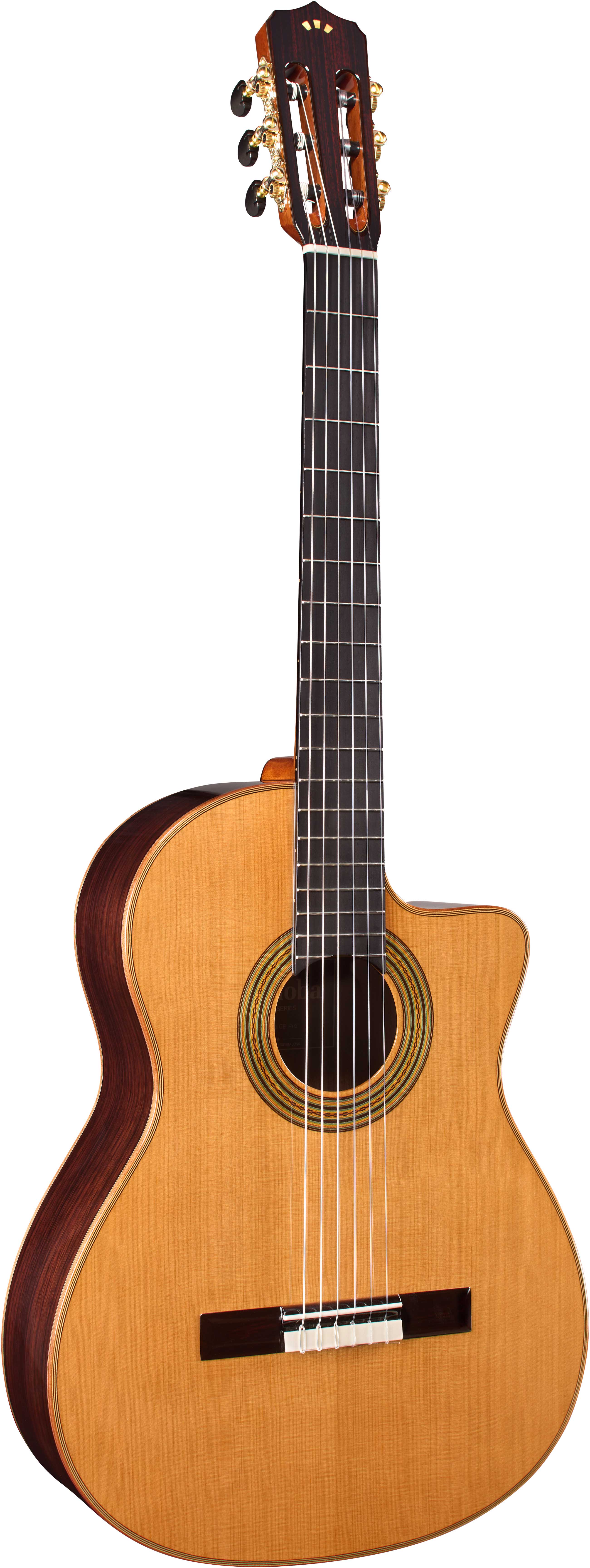 Cordoba Fusion Orchestra CE Pro