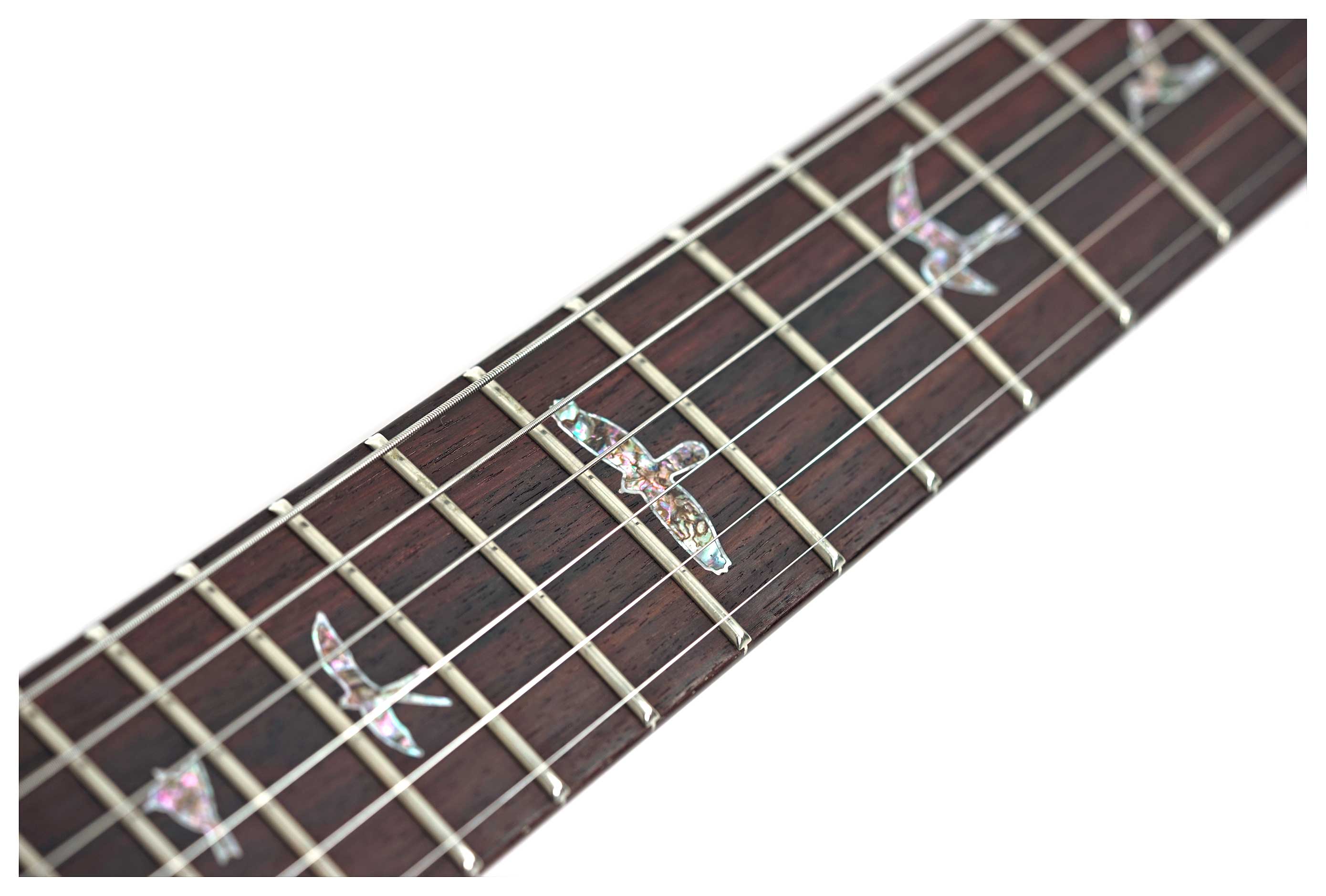 PRS Wood Library Custom 24-08 Custom Colour Blue 10 Top #0430266