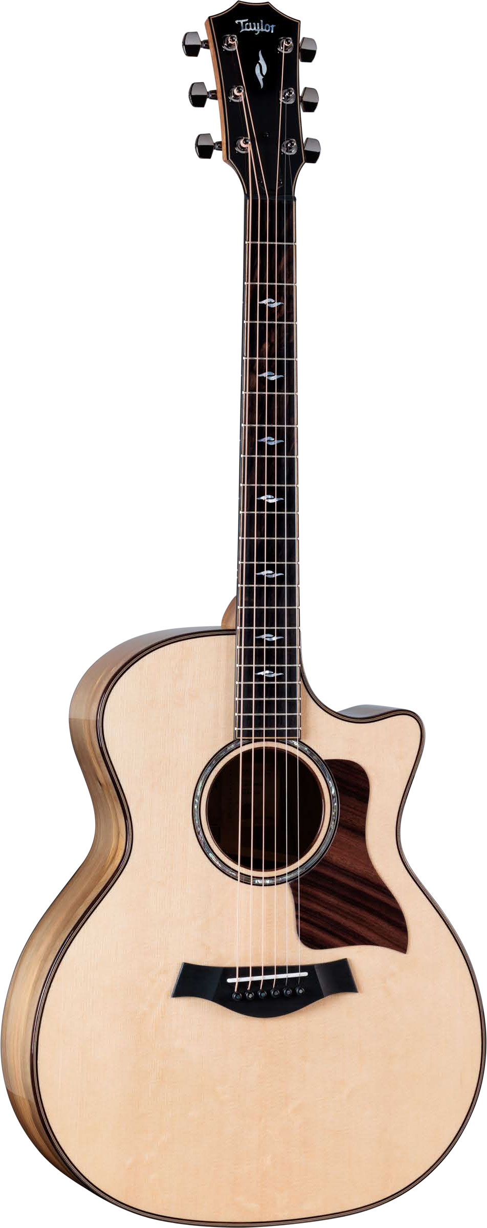 Taylor Special Edition 814ce Grand Auditorium Blackheart Sassafras/Bearclaw Sitka