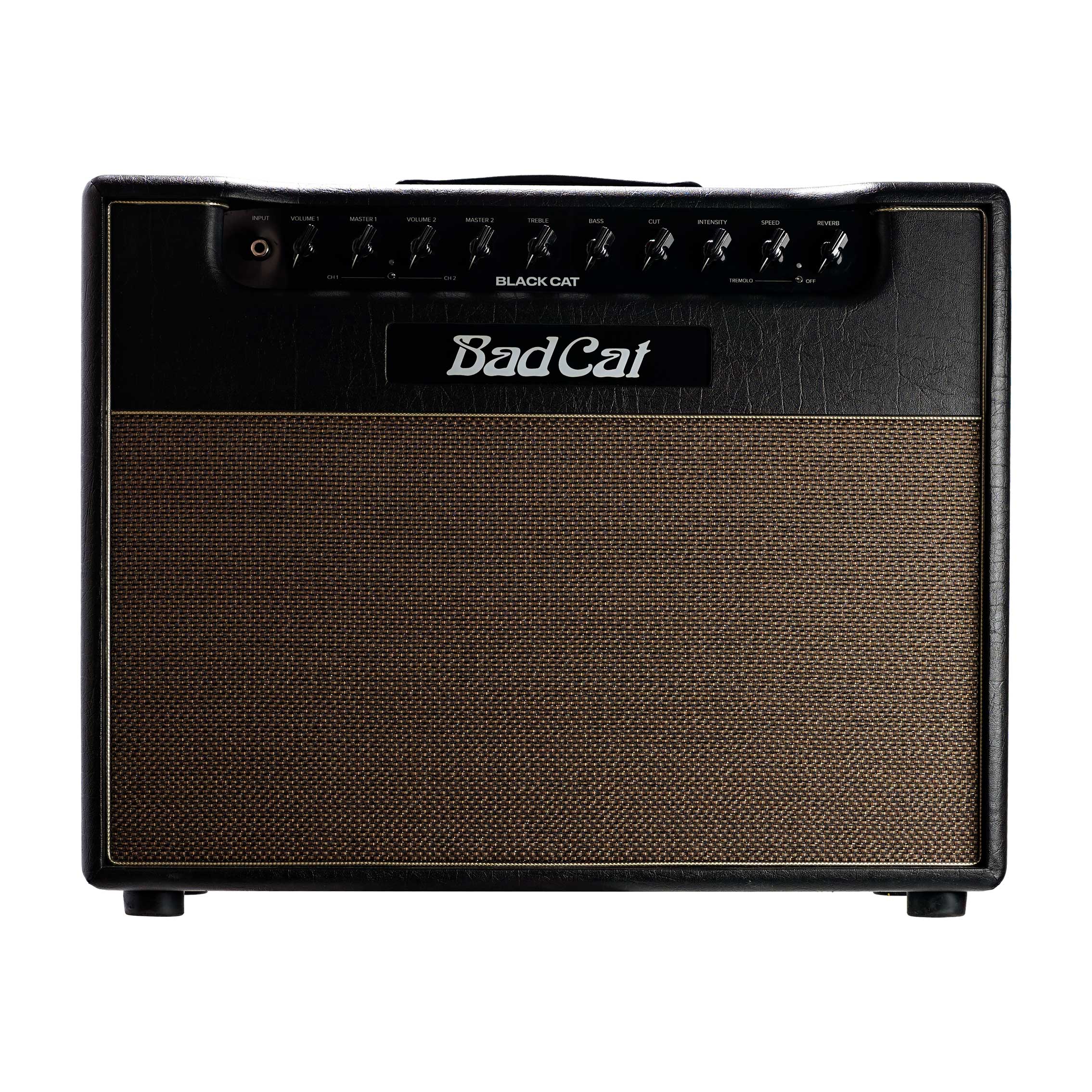 Bad Cat 2025 Black Cat 1x12 Combo Valve Amp (Pre-Owned)