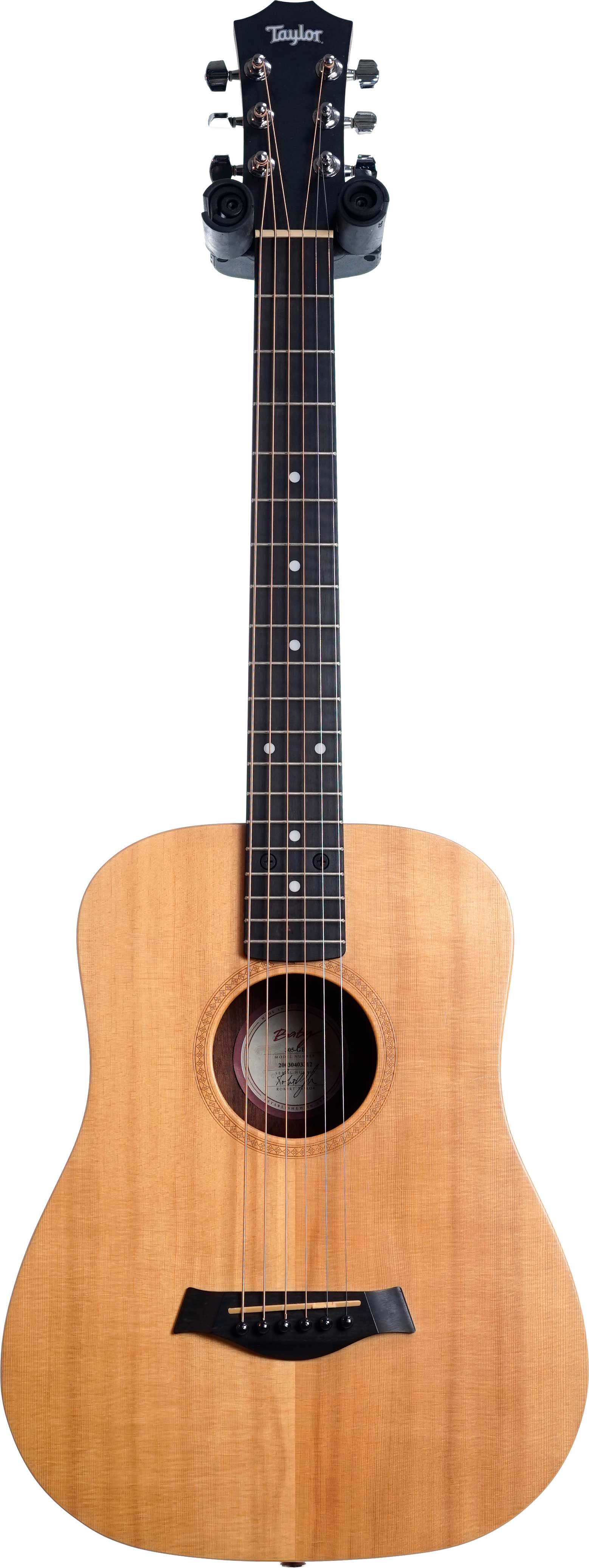 Taylor Baby 305-GB (Pre-Owned)