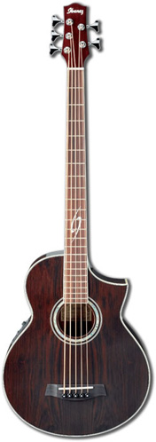 Ibanez EWB205WNE-NT Acoustic Bass Walnut
