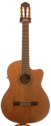 Freshman FA250CE