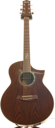 Ibanez EW20WNE-NT Natural