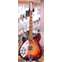 Rickenbacker 360 Amber Fireglo Left Handed Front View