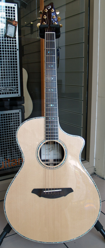 Breedlove AC25SR Plus