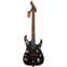 ESP M-200SR Skulls and Roses Limited Edition Front View