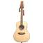Stagg A1012-BK 12 String Nat Front View