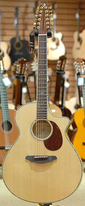 breedlove aj250