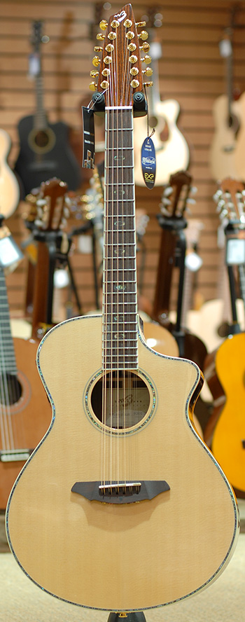 breedlove ac 25 sr