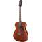 Fender Tim Armstrong Hellcat Acoustic SE Front View