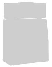 THD Bi-Valve Amp Head