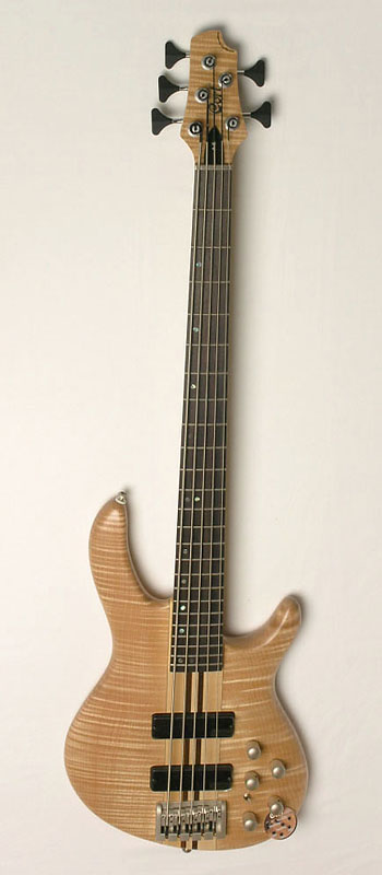 Cort Artisan A5 Natural