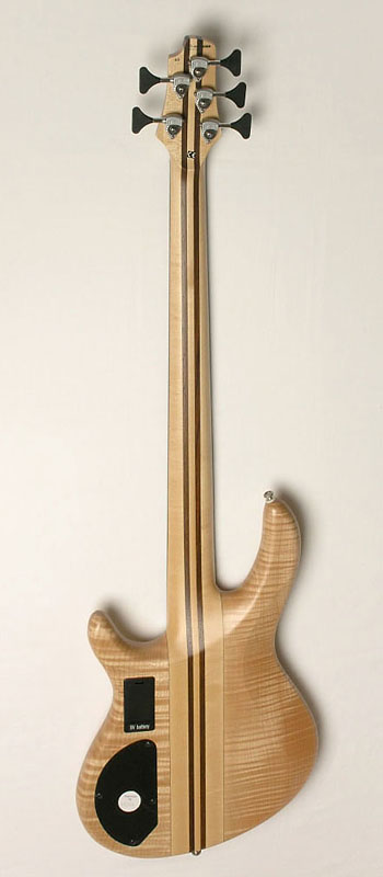 Cort Artisan A5 Natural