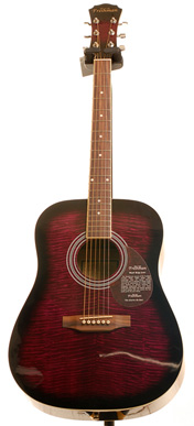Freshman FA1DP Dreadnought Acoustic Package Purple