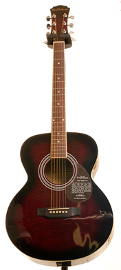 Freshman FA1FP Folk Acoustic Package Purple