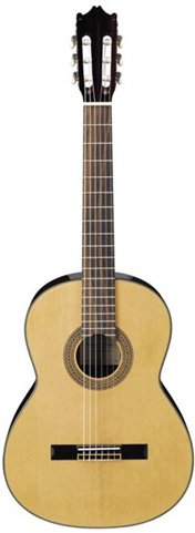 Ibanez G100-NT Natural