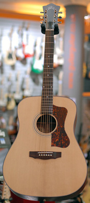 Guild DV4 American