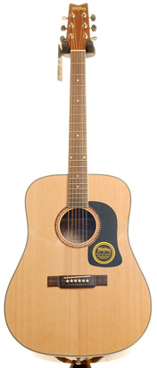 Washburn D10S