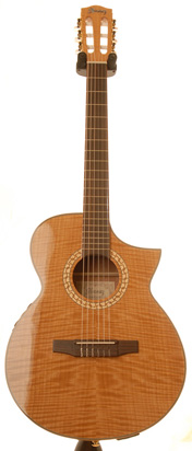 Ibanez EWN30SYE-NT Natural