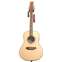 Stagg A1012-BK 12 String Nat Product