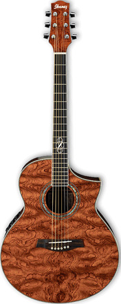 Ibanez EW20BGE-NT Natural